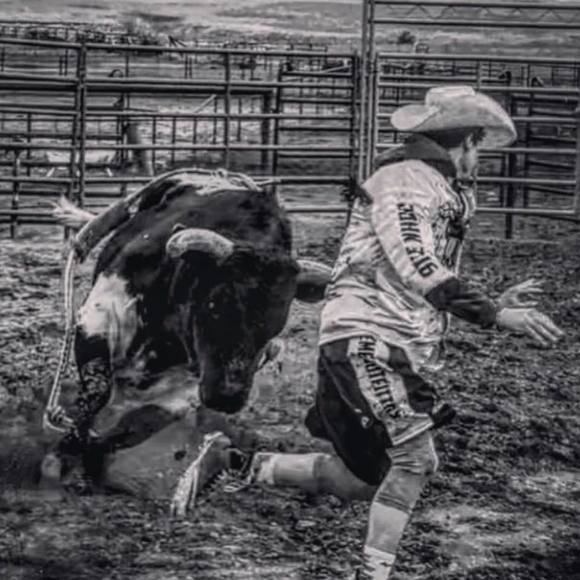 Meet your Posher, Tayton - Picture 1 of 1